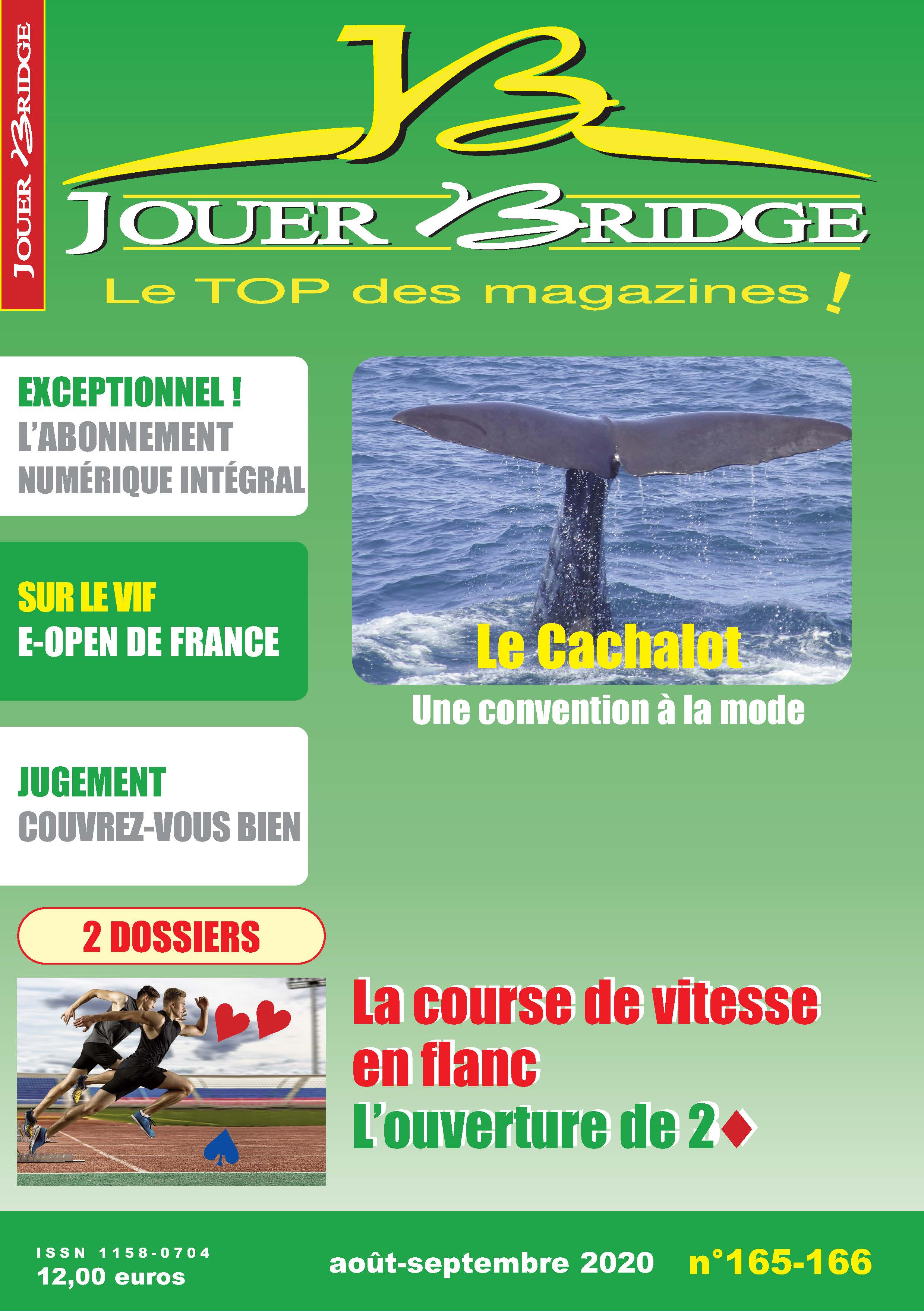 image Jouer Bridge 165-166 - 2K FM et le flanc à SA