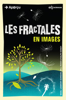 image Les fractales en images